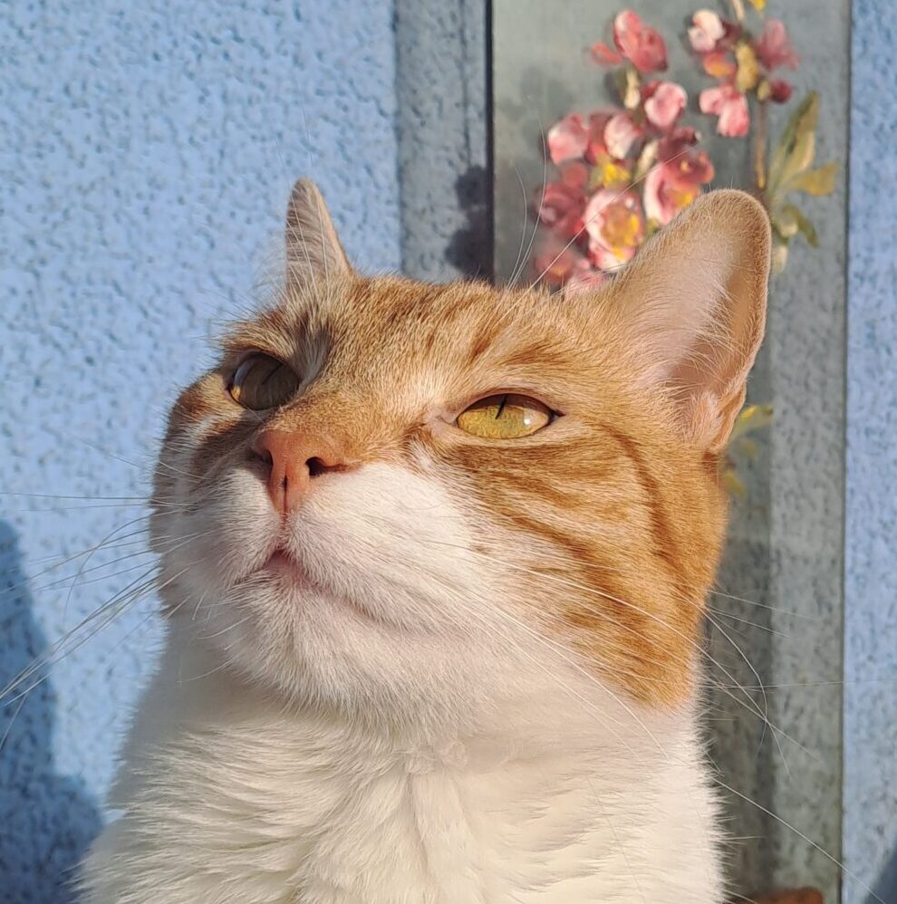 Tyna profile picture