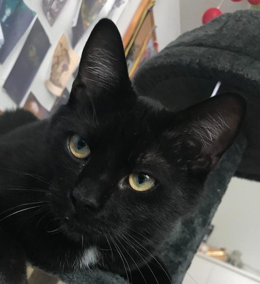 Denis profile picture